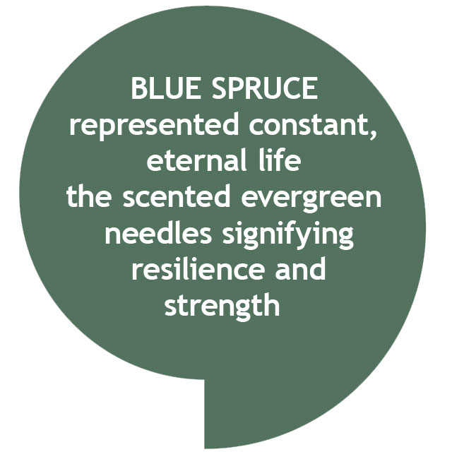 Blue Spruce - Image 3