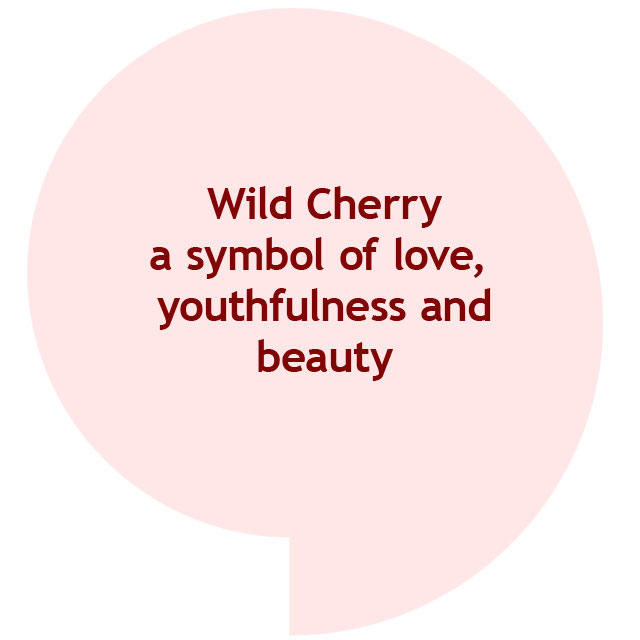 Wild Cherry - Image 4